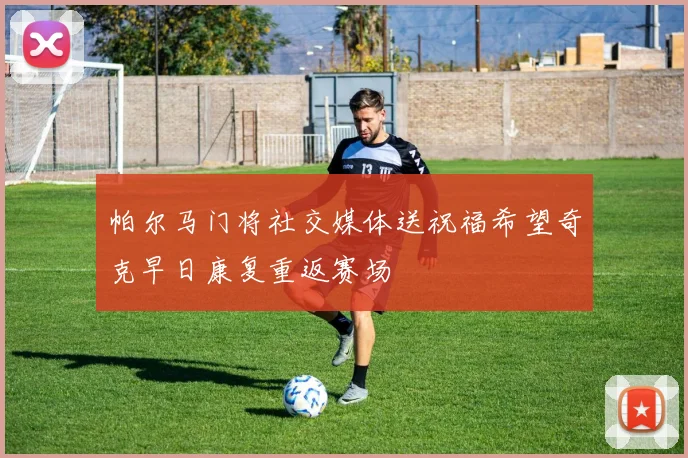 帕尔马门将社交媒体送祝福希望奇克早日康复重返赛场