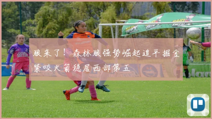 狼来了！森林狼强势崛起追平掘金紧咬火箭稳居西部第五