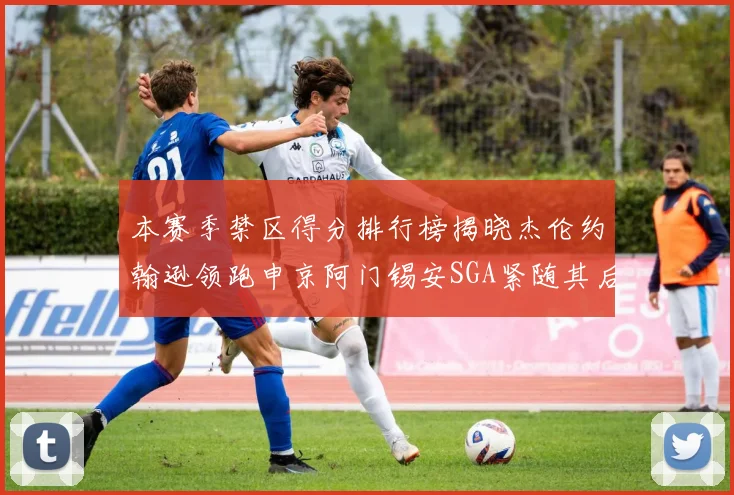 本赛季禁区得分排行榜揭晓杰伦约翰逊领跑申京阿门锡安SGA紧随其后